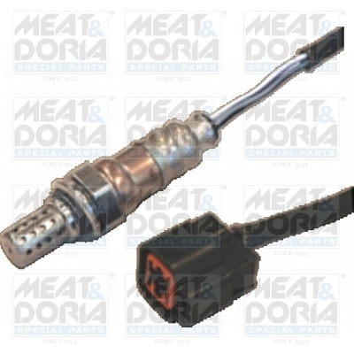 Oxygen Sensor